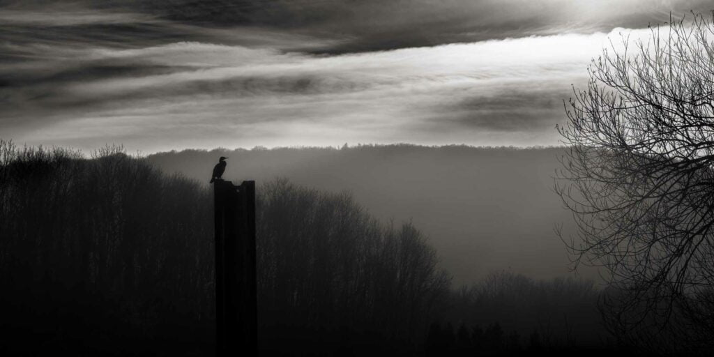 Stage noir et blanc Horizon photo et Florian Caseau