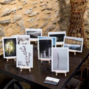exposition nature, noir et blanc, village du saule