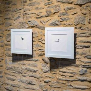 exposition nature, noir et blanc, village du saule