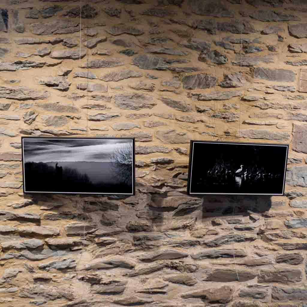 exposition nature, noir et blanc, village du saule