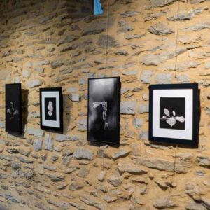 exposition nature, noir et blanc, village du saule