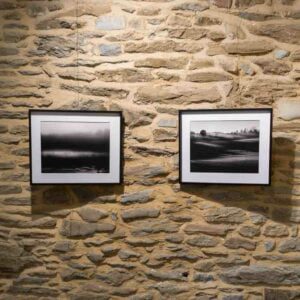 exposition nature, noir et blanc, village du saule