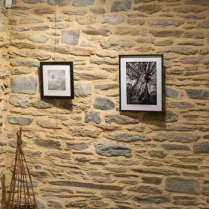 exposition nature, noir et blanc, village du saule