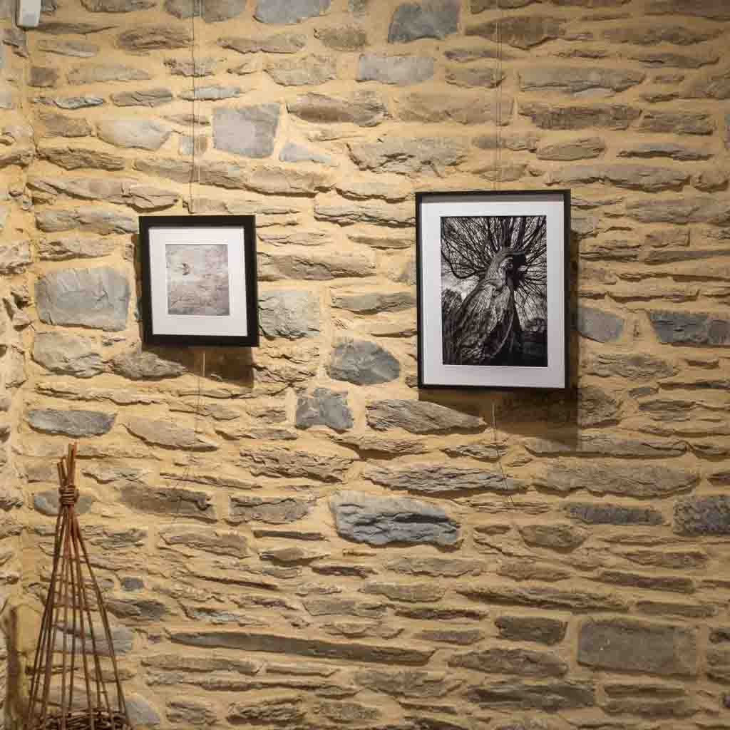 exposition nature, noir et blanc, village du saule