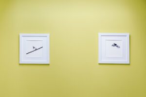 Exposition photo nature artistique dans le home st Joseph de Huy