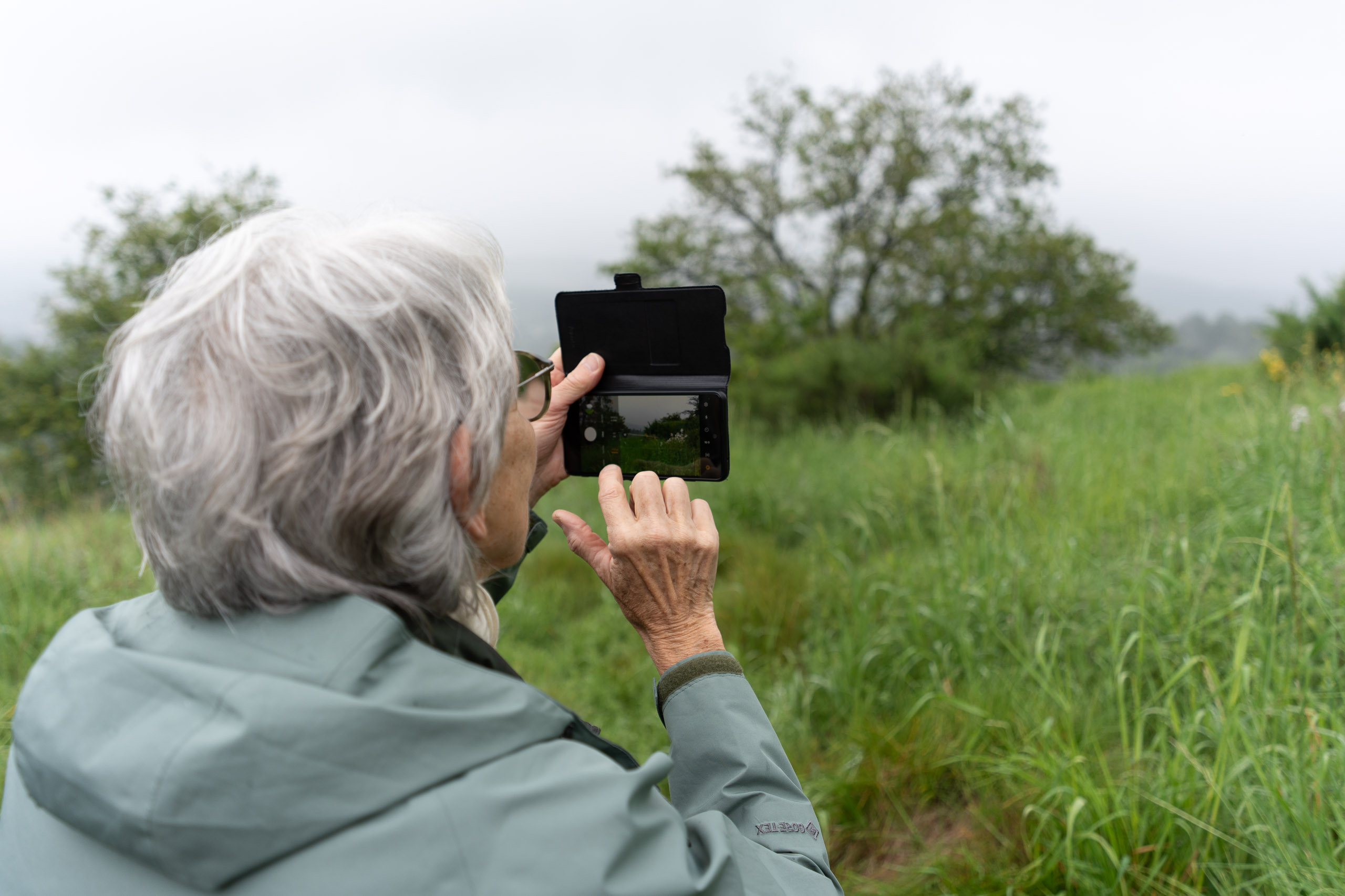 Photographie stage, ateliers, cours au smartphone dans la nature