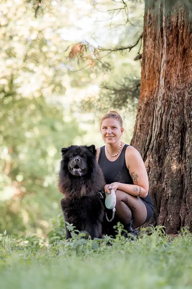 Shooting photo d'un chien canin en extérieur. Dans la nature.