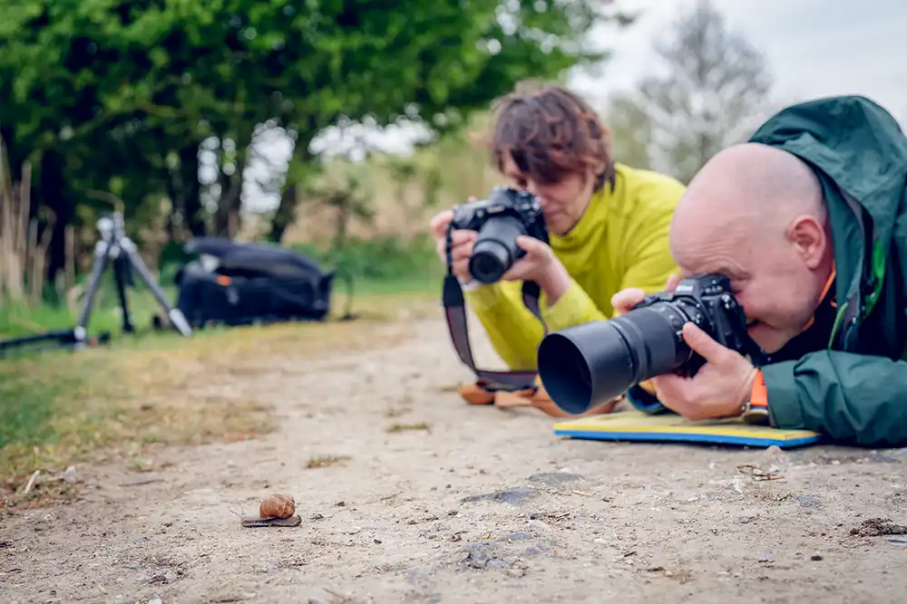 Stage de photo nature paysage macro proxi oiseaux animalière