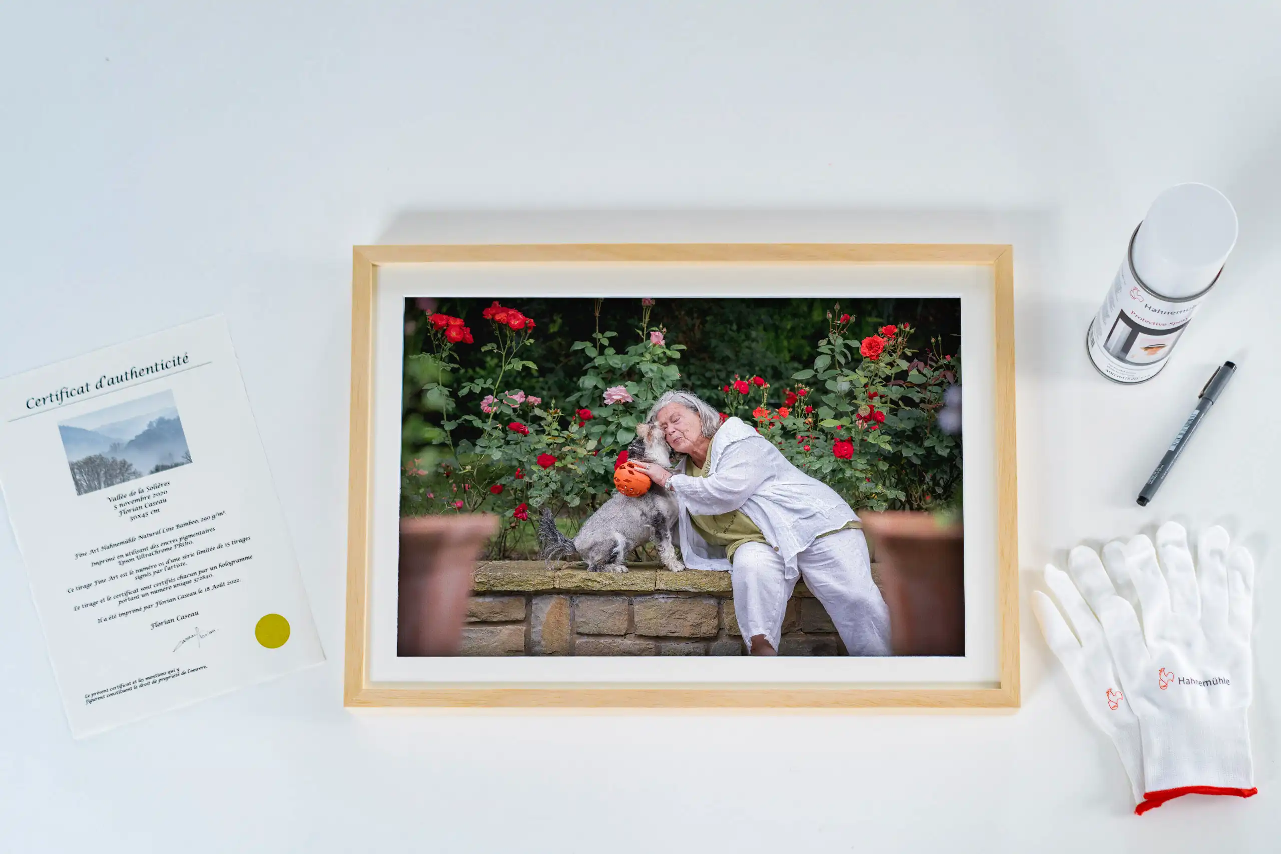 cadre exception art animaux de compagnie, animalier