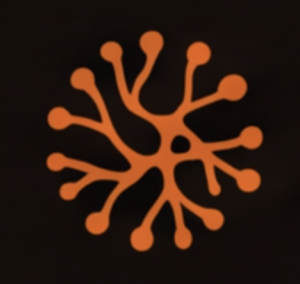 Orange dendritic logo with a central dot and radiating branches on a dark background.